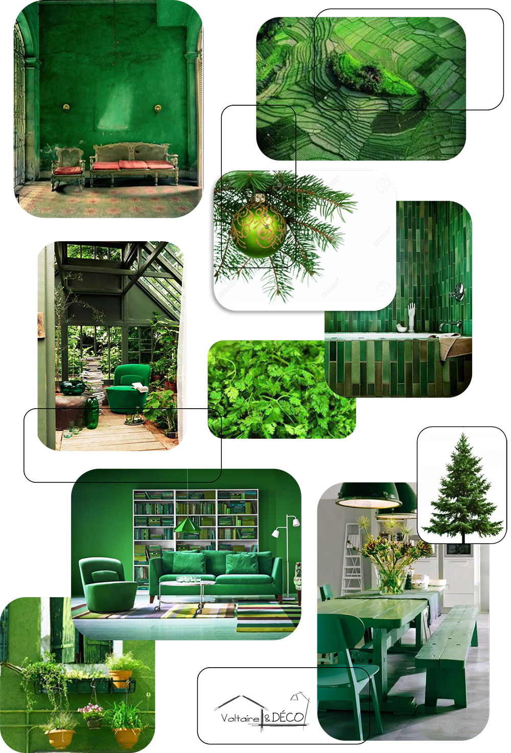 couleur vert sapin